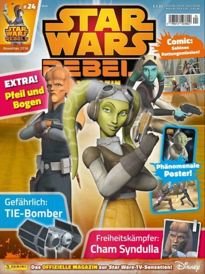 Cover of Issue #29