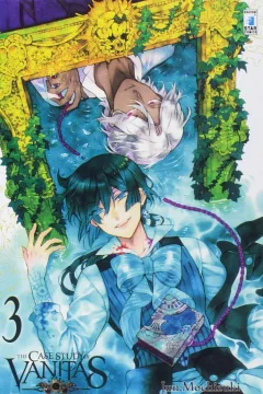 The case study of vanitas 3