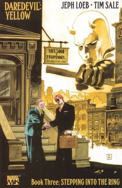 Cover of Stepping into the Ring