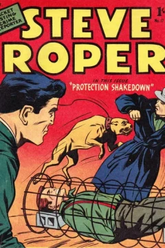 Protection Shakedown