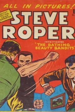 The Bathing Beauty Bandits