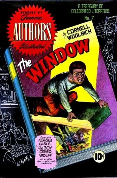Cover of The Window