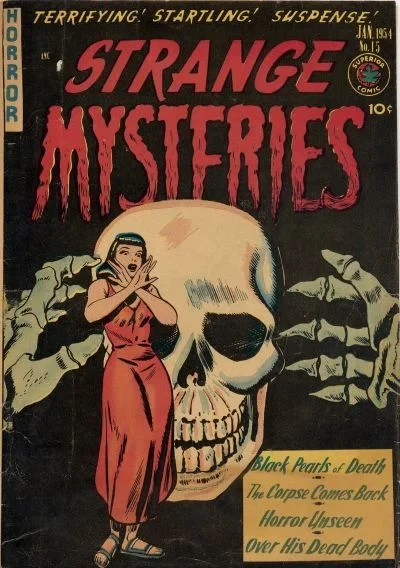 Cover of Issue #15