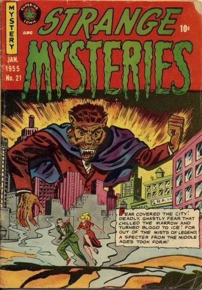 Cover of Issue #21