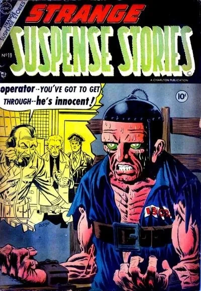 Cover of 19