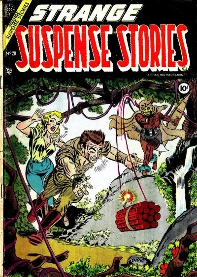 Cover of 20