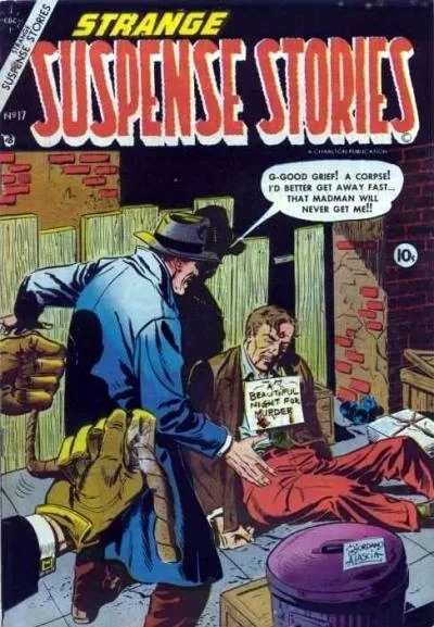 Cover of Beautiful Night for a Murder