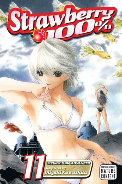 Cover of Vol. 11
