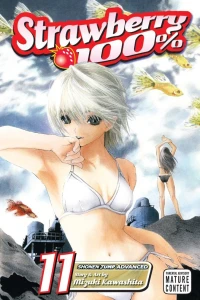 Vol. 11
