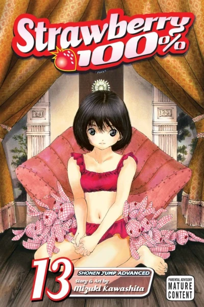 Cover of Vol. 13