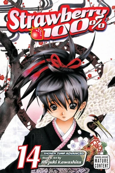 Cover of Vol. 14