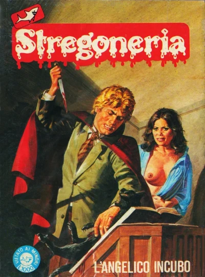 Cover of L'angelico incubo