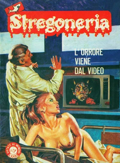 Cover of L'orrore viene dal video