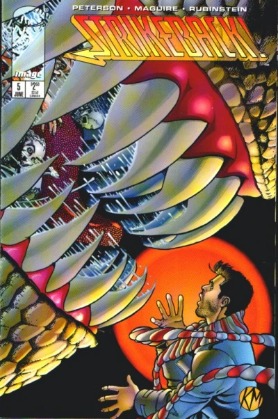 Cover of Strikeback!