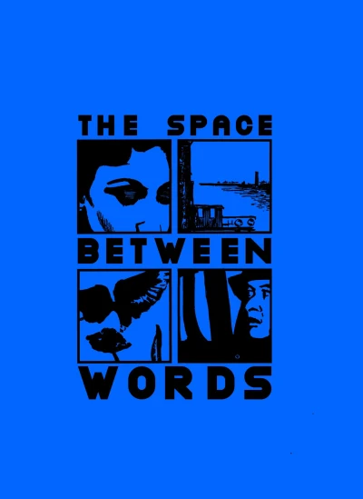 Cover of The Space Between Words