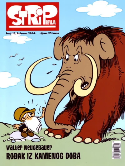 Cover of Issue #15