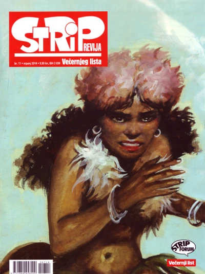 Cover of Issue #11