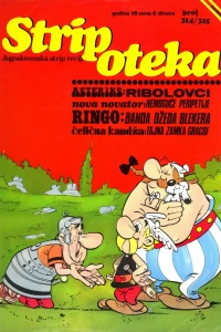Issue #314/315