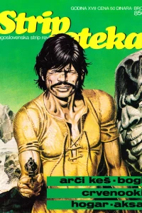 Issue #850
