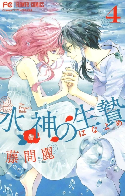 Cover of Vol. 4