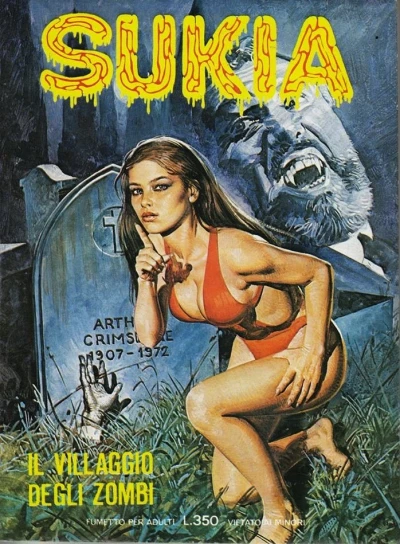 Cover of Il Villaggio degli Zombi