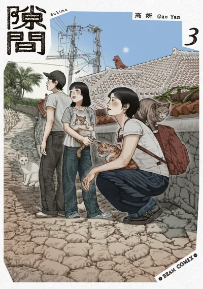 Cover of Vol. 3