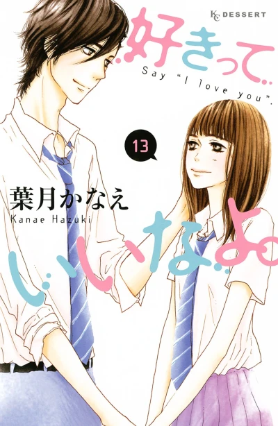 Cover of Vol. 13