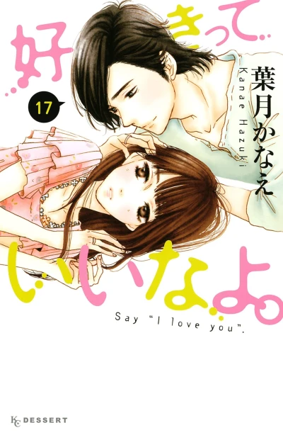 Cover of Vol. 17