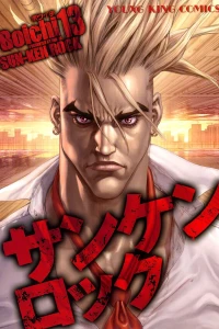 Vol. 13