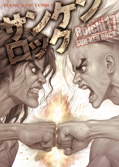 Cover of Vol. 17