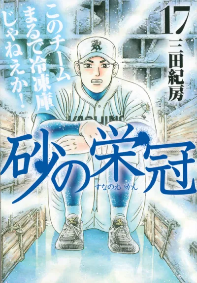 Cover of Vol. 17