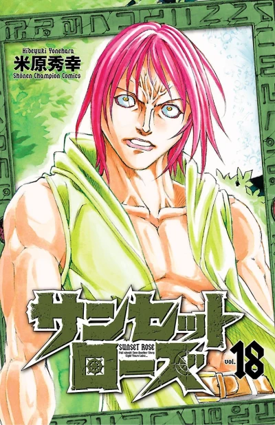 Cover of Vol. 18