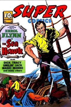 The Sea Hawk