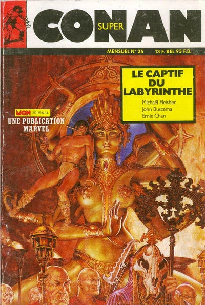 Cover of Le Captif du Labyrinthe