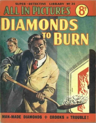 Cover of Diamonds to Burn
