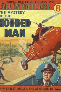 Mystery of the Hooded Man