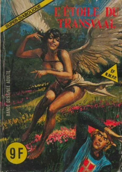 Cover of L'ÉTOILE DU TRANSVAAL