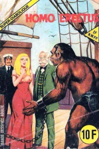 Homo Erectus