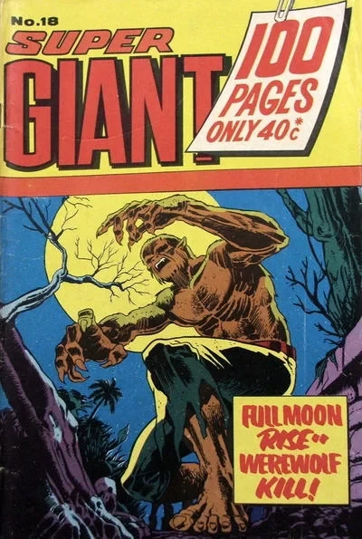 Cover of Issue #18