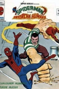 Spider-Man y la Antorcha Humana