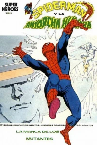 Spider Man y la Antorcha Humana