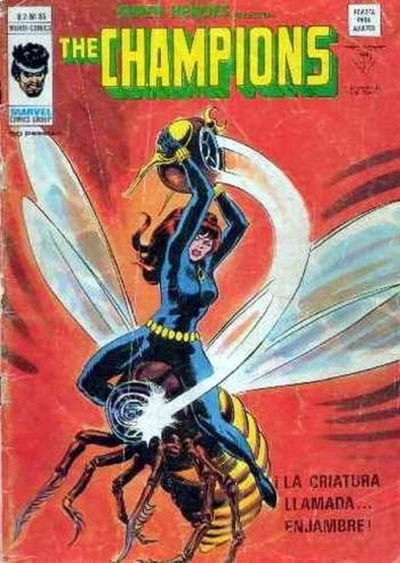 Cover of The Champions