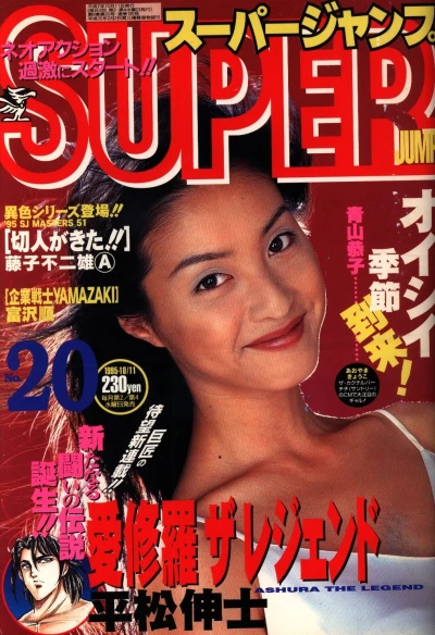 Cover of No. 20, 1995
