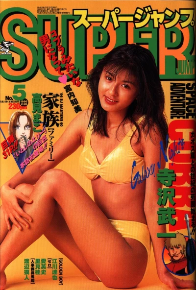 Cover of No. 5, 1996