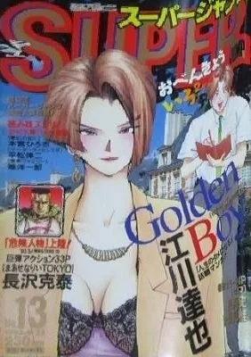 Cover of No. 13, 1993