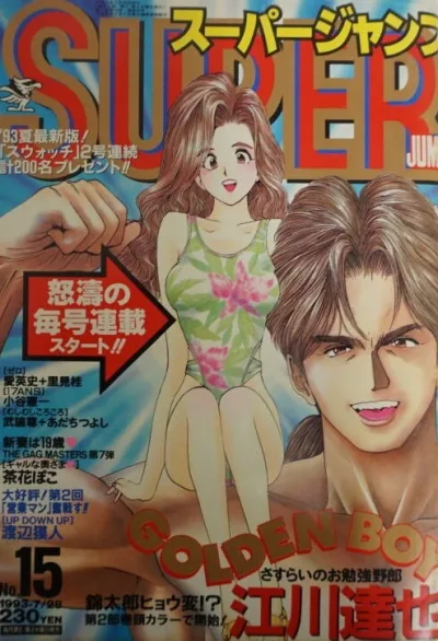 Cover of No. 15, 1993