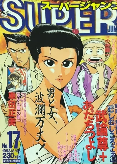 Cover of No. 17, 1993