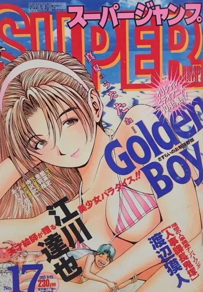 Cover of No. 17, 1995