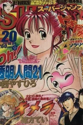 Cover of No. 20, 2002