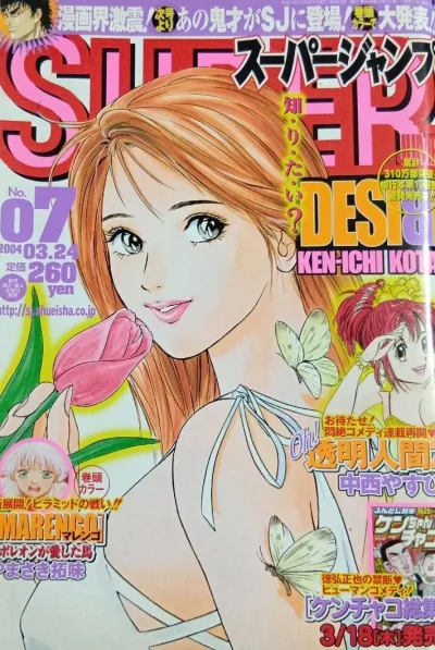 Cover of No. 7, 2004